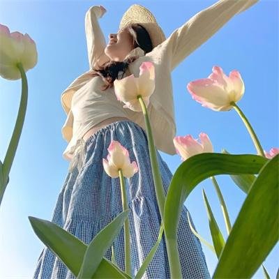 断线森林2